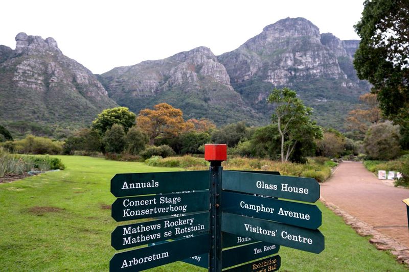 Kirstenbosch is going to seed, warn experts Don Pinnock