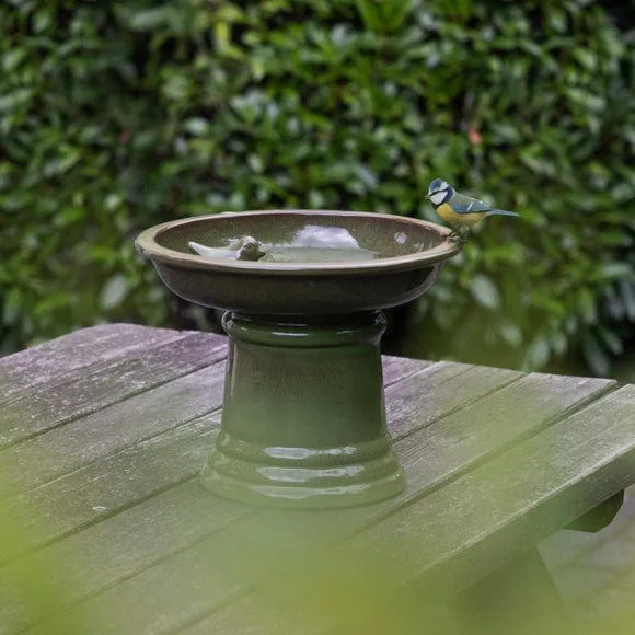 How to make your garden finch-friendly