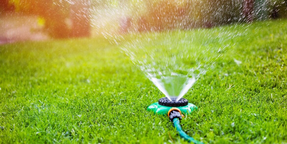 The Golden Heatwave Watering Rule That Could Make All The Difference To Your Lawn