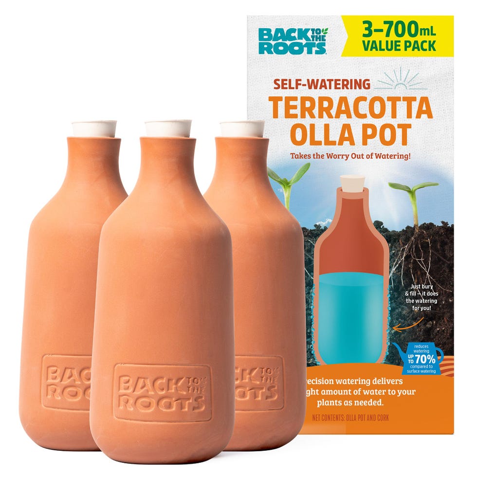 Self-Watering Terracotta Olla Pot