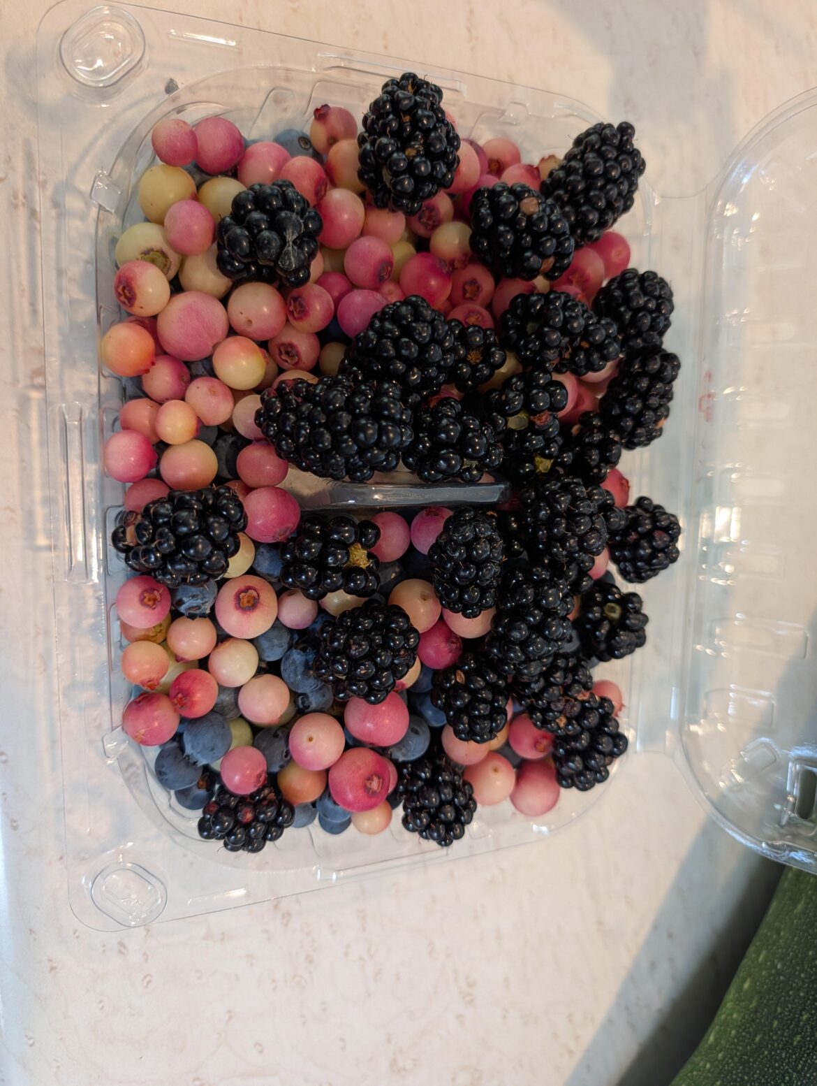 My harvest the other day
