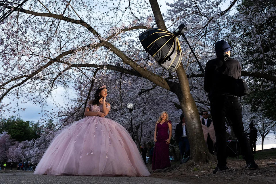 Gabrielle Cardenas of Potomac poses for photos for her quinceañera along the Tidal Basin during the annual National Cherry Blossom Festival in Washington, D.C., March 26, 2025. The festival commemorates Japan's gift of 3,000 cherry trees in 1912.