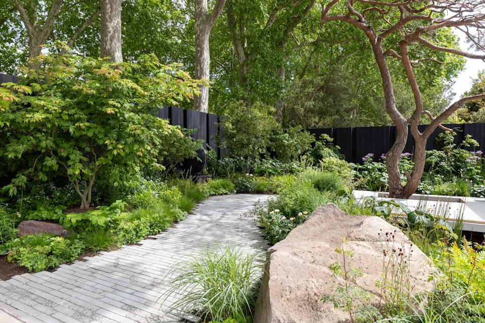 rhs chelsea flower show 2026 the asthma and lung uk breathing space garden