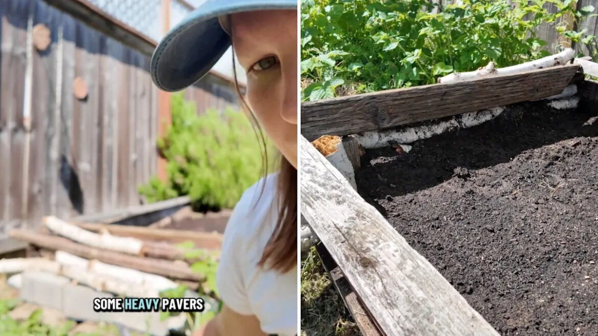 Gardener gets creative with backyard logs to save rotten raised bed for one more season