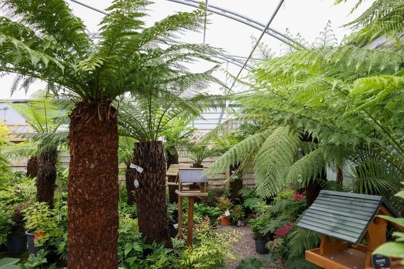 Inside Brackenwood Plant and Garden Centre in Bristol