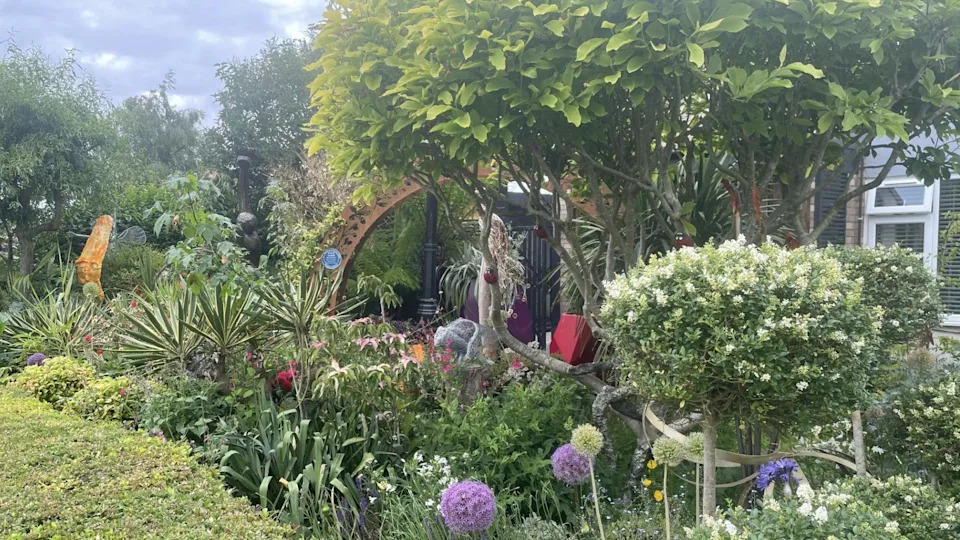 A beautiful front garden can be seen. It is filled with trees, flowers, plants and sculptures. Some purple alliums can be seen in the foreground. The sky behind is cloudy A hand-made ladybird can be seen on the trunk of one of the trees.
