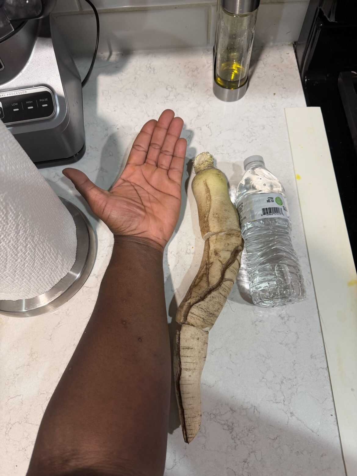 This Daikon radish that kept breaking apart when i harvested it