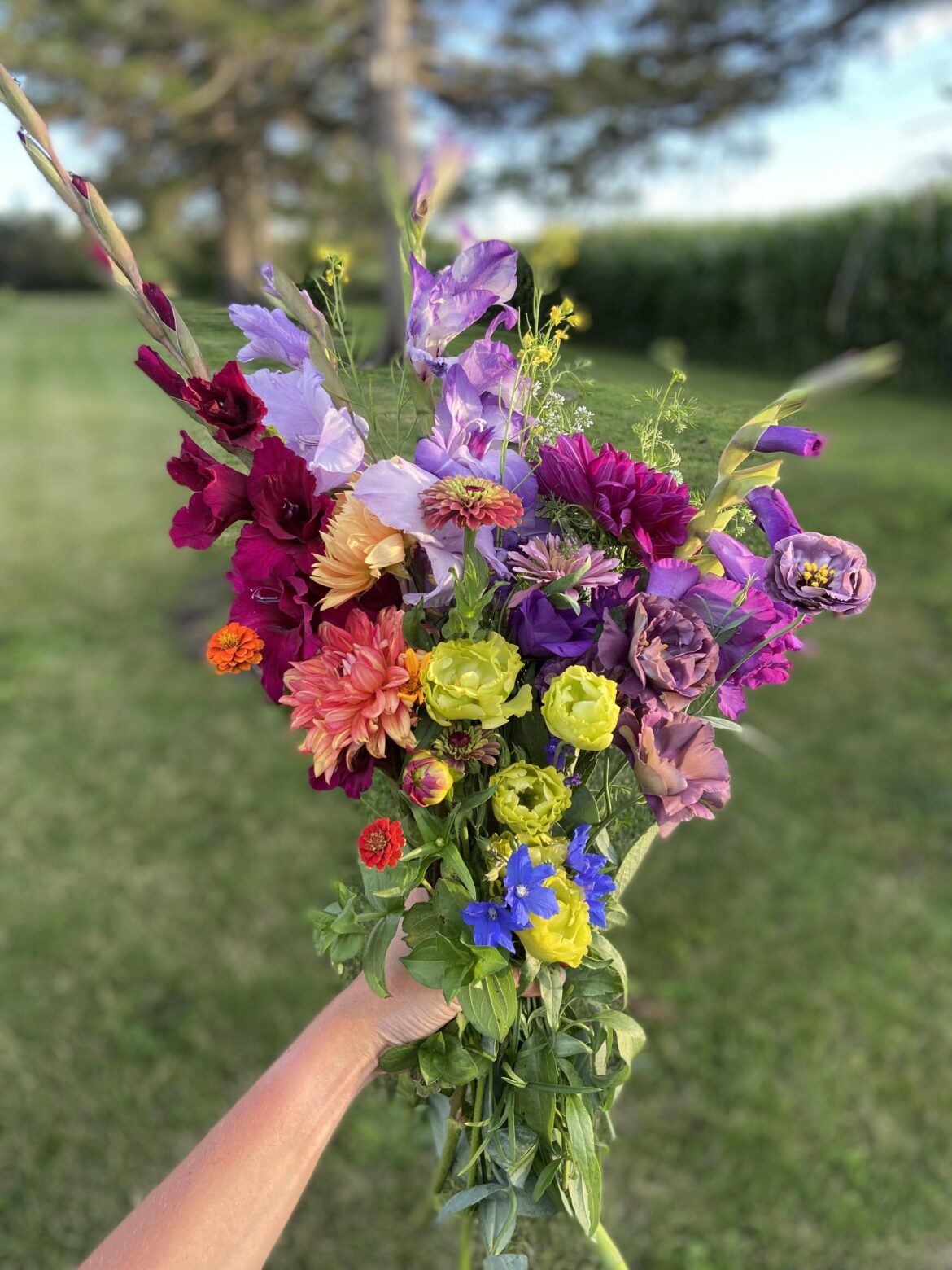 Rainbow bouquet I grew a few years ago