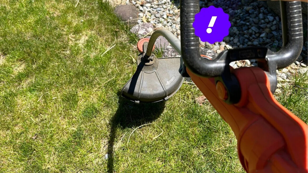 The 4 best string trimmers of 2026, reviewed by a pro landscaper