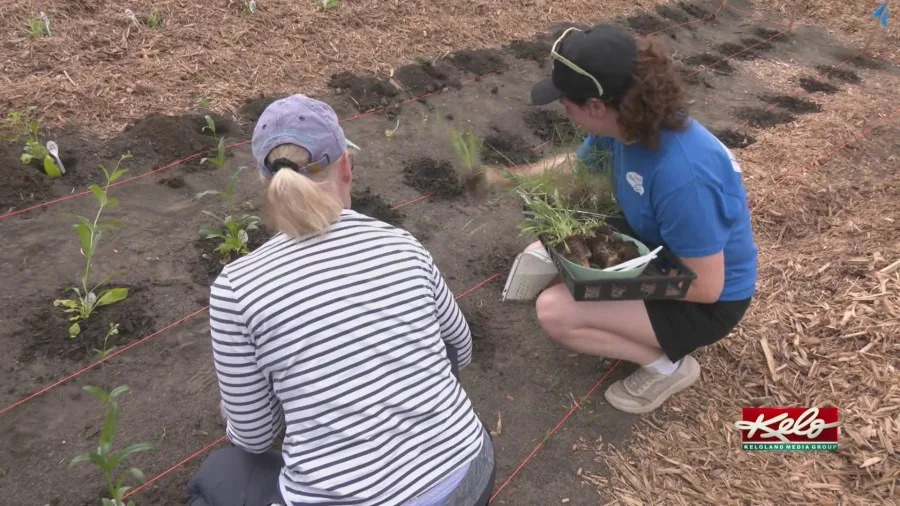 Master Gardeners plant natives at Devil’s Gulch near Garretson KELO Sioux Falls