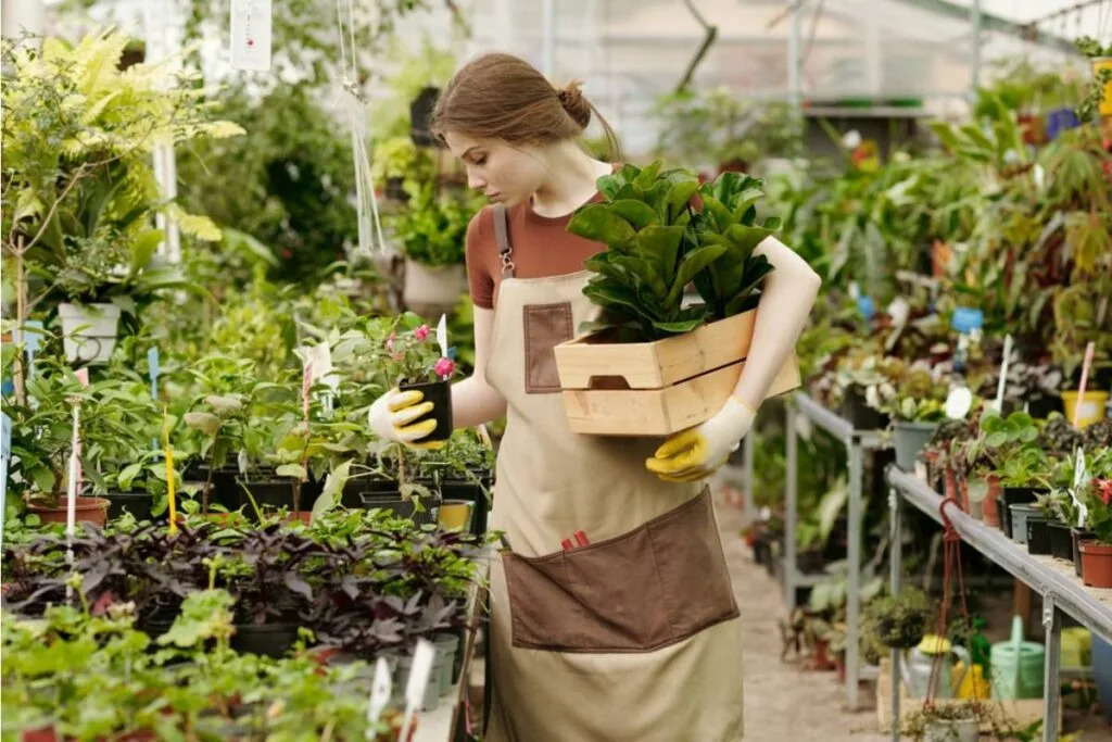 Gardener Says Her Plants Grow Better When Neighbors Stop Offering Advice, And It’s Starting a Debate About “Helpful” Gardening Tips Here are the superstars to watch at the 2026 World Cup