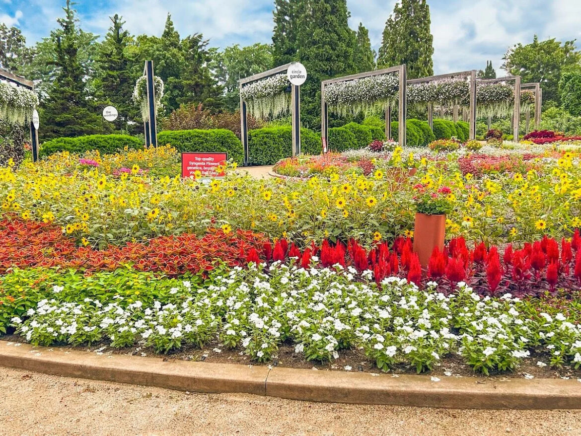 Visit Trial Gardens to See New Plants Before They Hit Stores