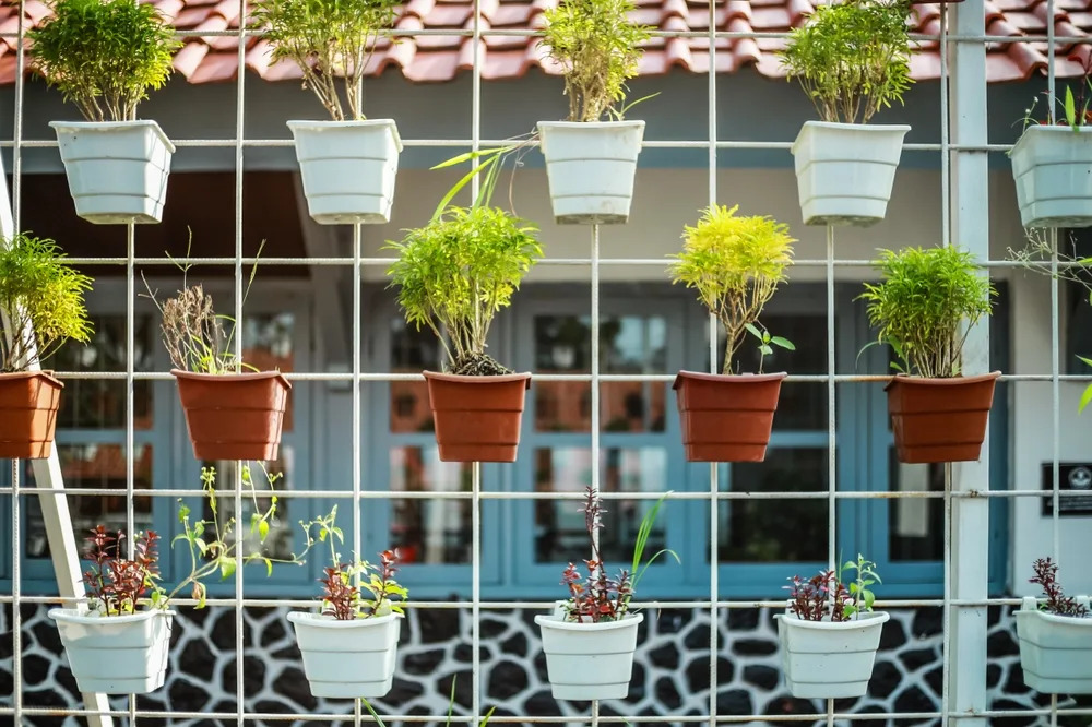 The $5 Dollar Store Gardening Hack Everyone on Newsbreak Is Trying Frugal Gardening