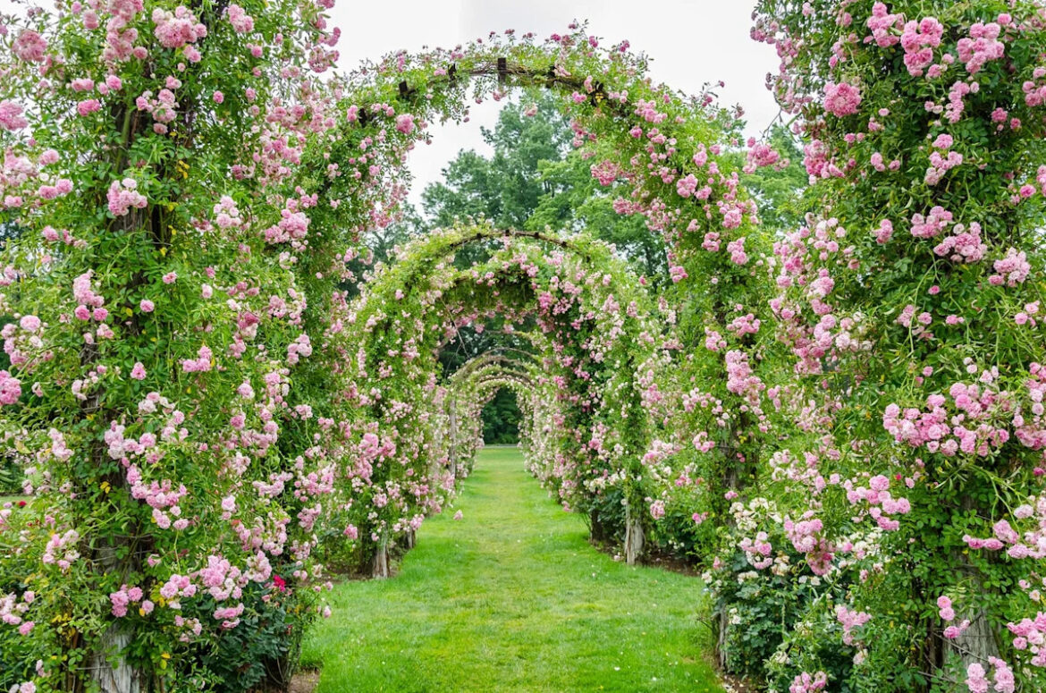 The Victorian-Era Garden Trend That's Making a Major Comeback