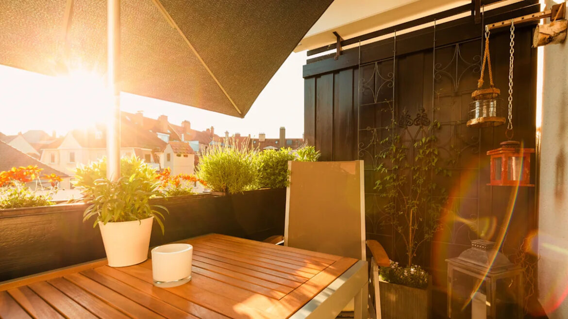How to Cool Plants in the Summer Heat – And Reduce Temperatures When Your Balcony Heats Up