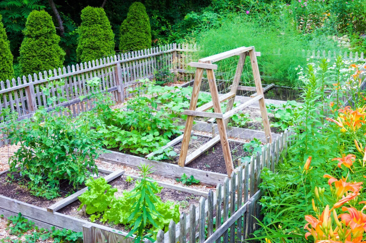 7 Vegetables That Can Be Challenging to Grow, According to Gardening Experts 7 Vegetables That Can Be Challenging to Grow, According to Gardening Experts