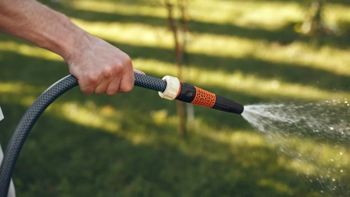 Gardeners are being urged to start collecting rainwater this weekend – here's why