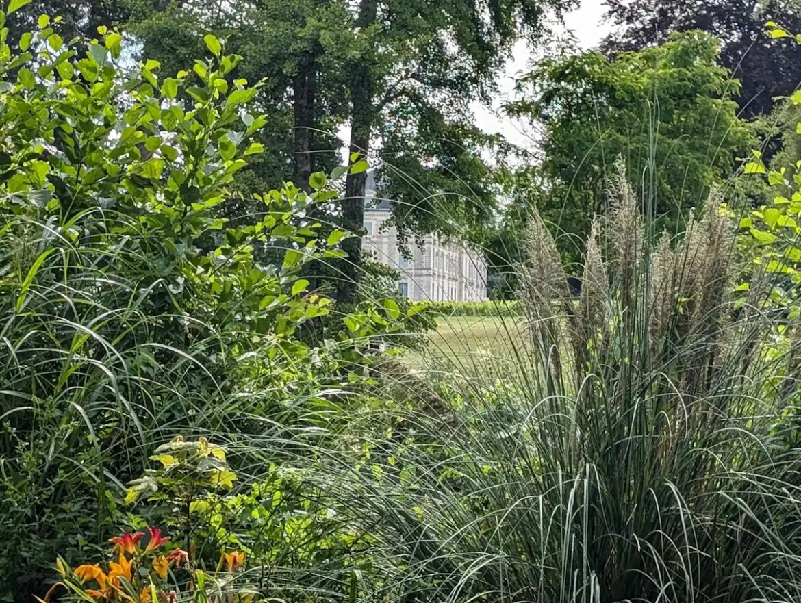 Planning a Native Perennial Border for Year-Round Color and Wildlife Habitat Planning a Native Perennial Border for Year-Round Color and Wildlife Habitat