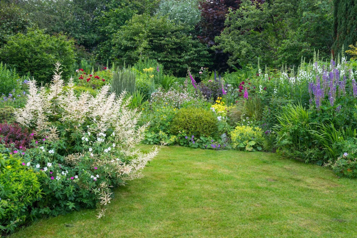 Why Your Lawn Suddenly Looks Worse in June, According to an Expert Why Your Lawn Suddenly Looks Worse in June, According to an Expert