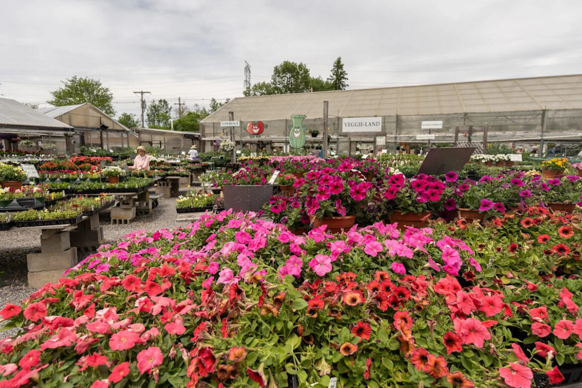 The 'best garden center' in Massachusetts is also its oldest. See here
