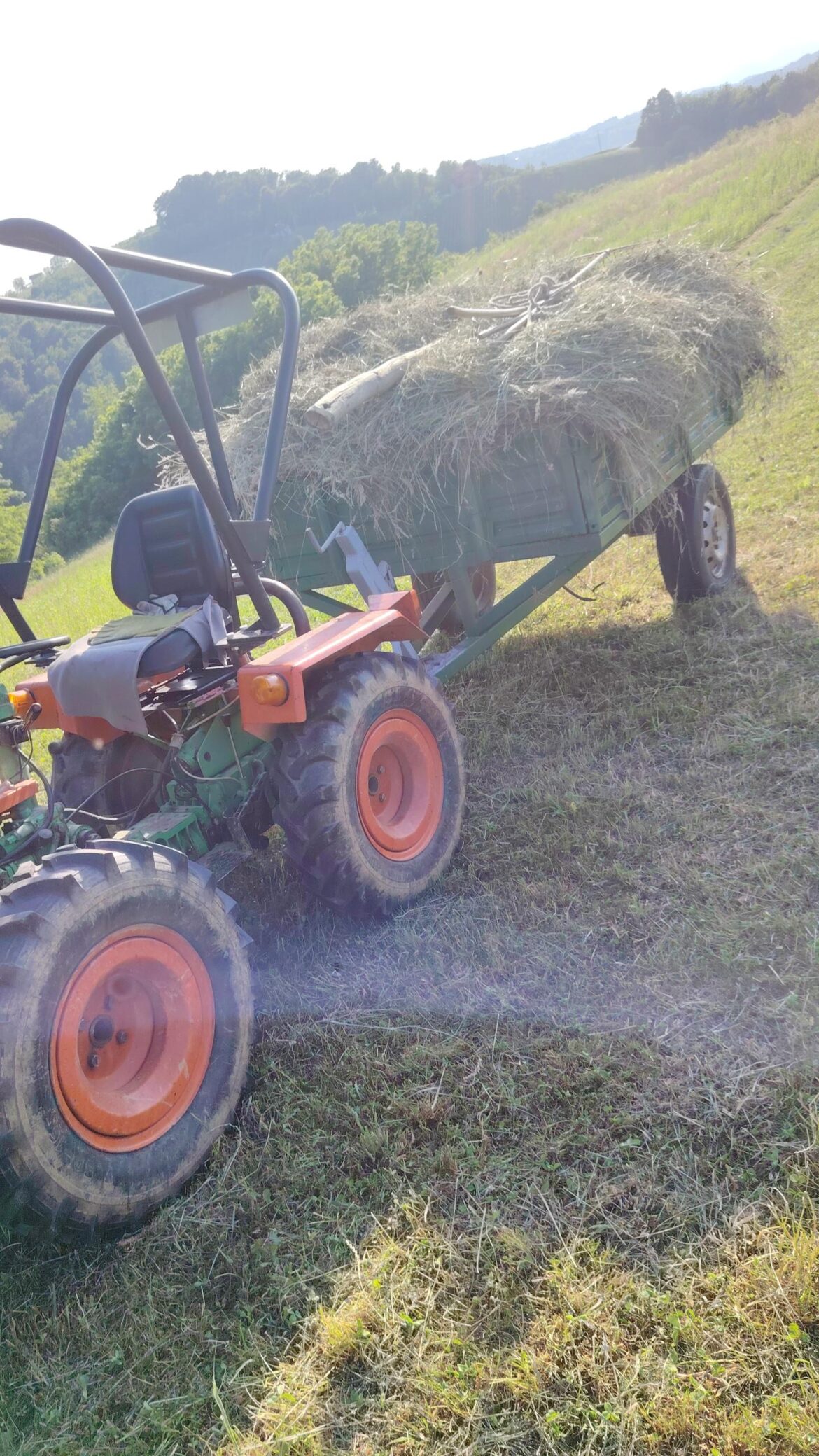 Hello everyone! Here's a picture from a few days ago, we made hay for our animals!