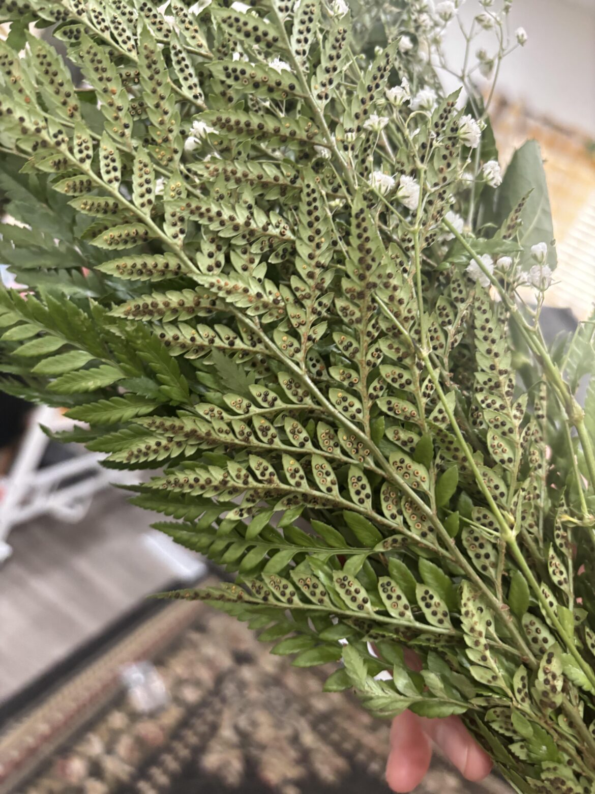 Got a bouquet of roses and saw this upon unwrapping. What is it?
