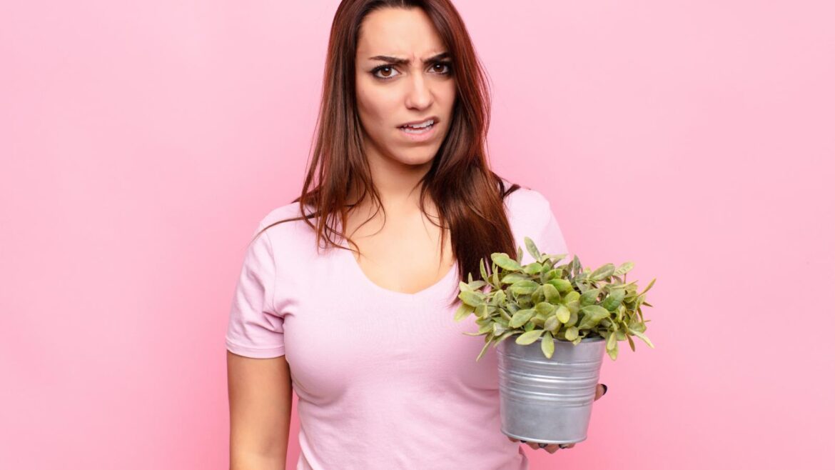 woman holding a plant
