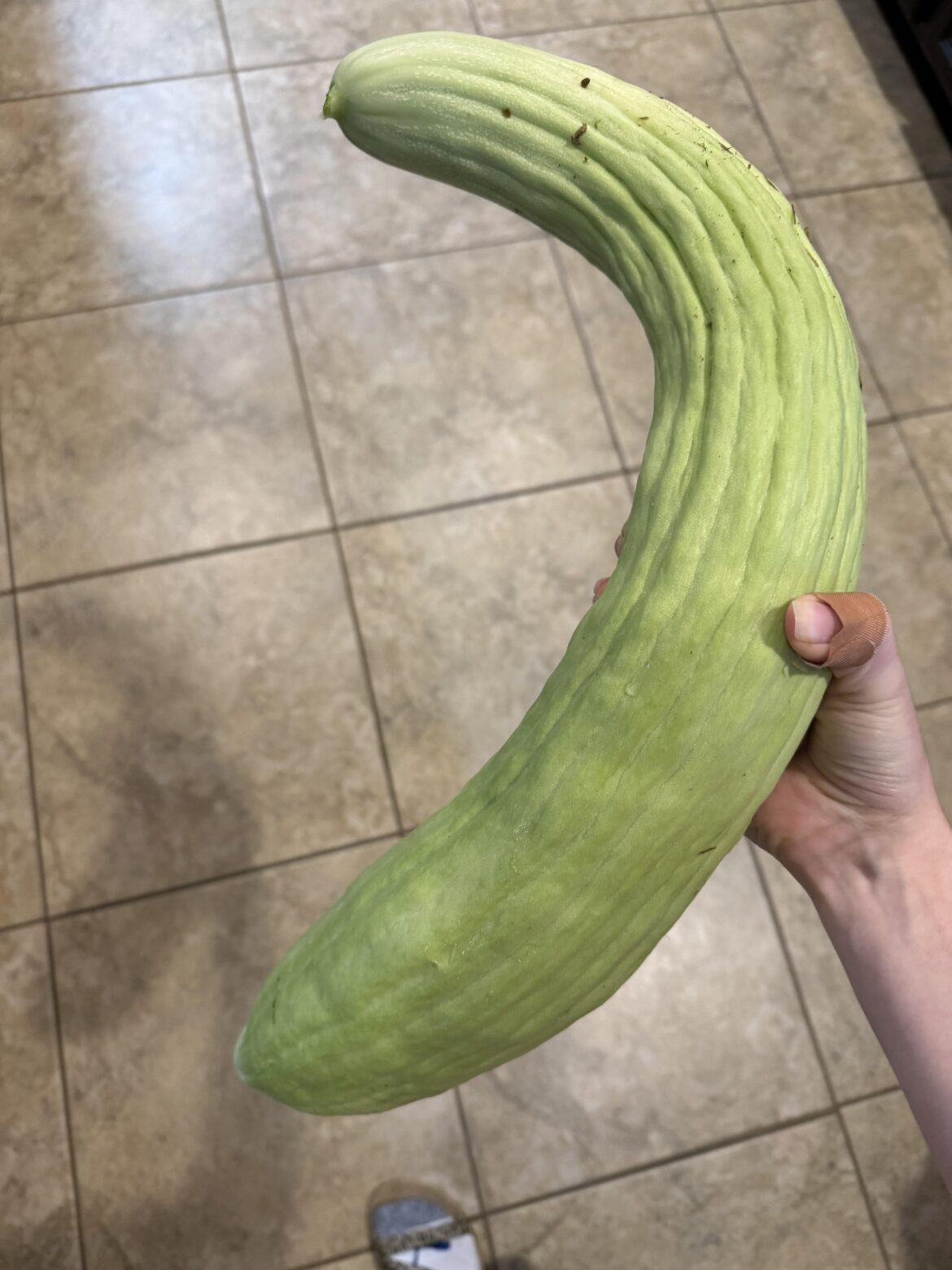 Recipes for Armenian Cucumbers