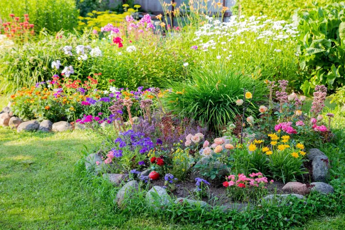 6 Garden Plants That Offer the Biggest Bang for Your Buck 6 Garden Plants That Offer the Biggest Bang for Your Buck