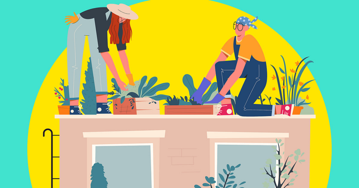 Guide to Urban Gardening in Cebu Using Recycled Bottles