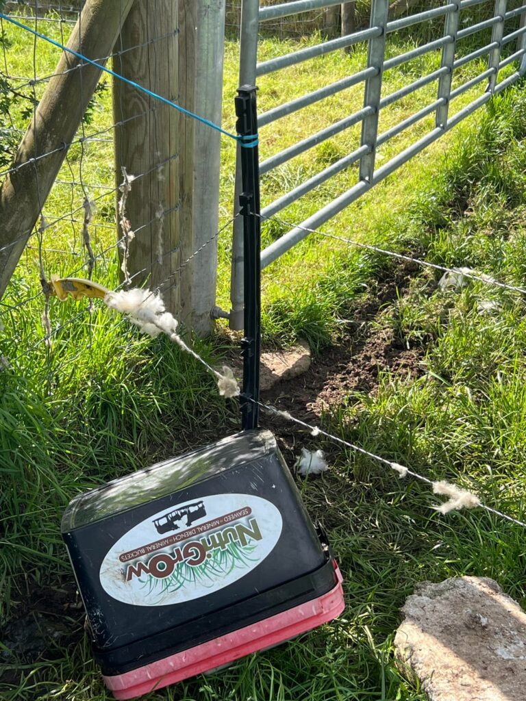 Does this fence look electric?