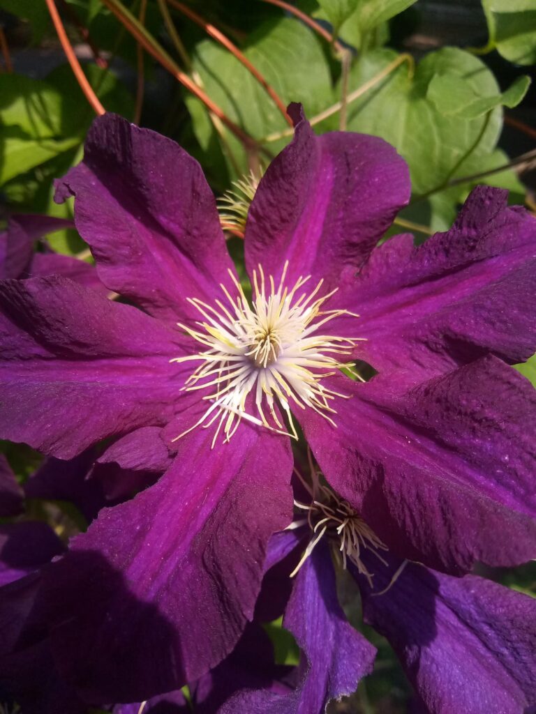 Portland Oregon
