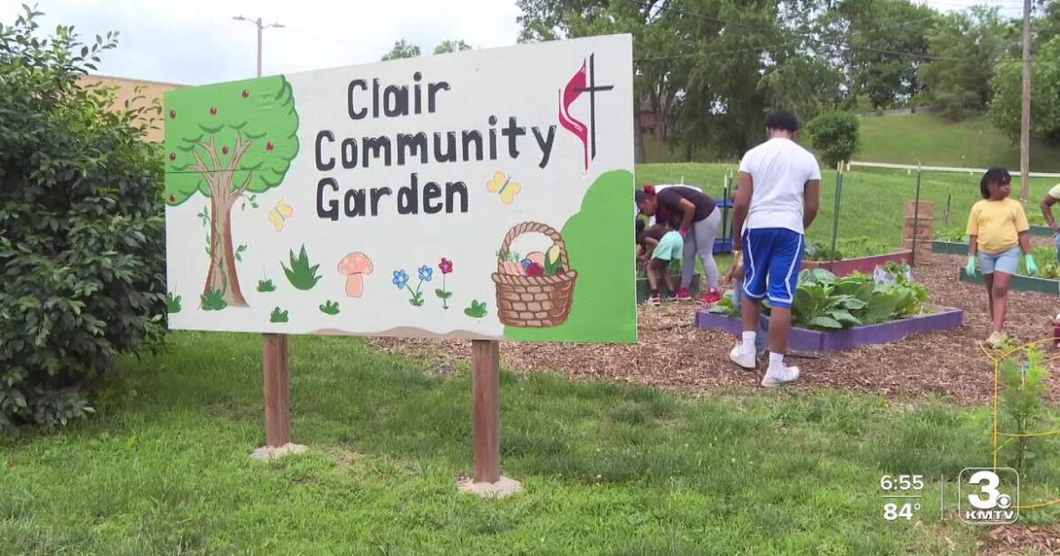 North Omaha garden teaches kids to grow food, feeds families North Omaha garden teaches kids to grow food, feeds families