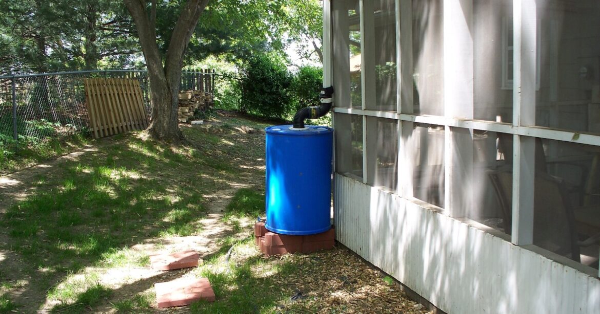 Homegrown NH: Conserve water and help your garden thrive with a rain barrel