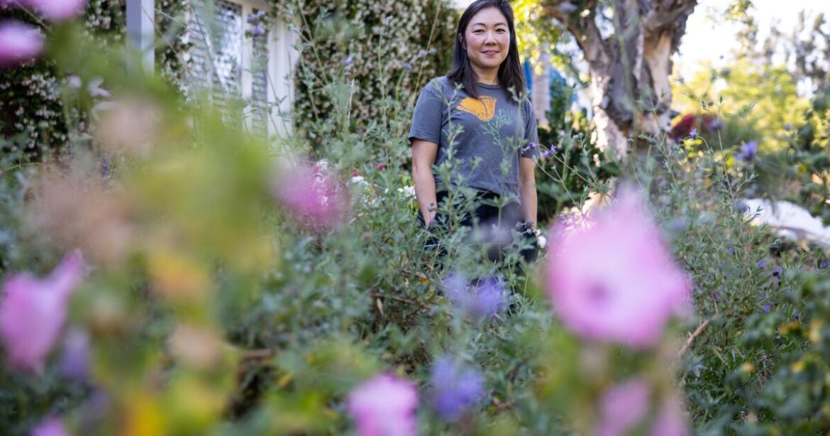 She tore out her L.A. hillside lawn and planted drought-tolerant plants She tore out her L.A. hillside lawn and planted drought-tolerant plants