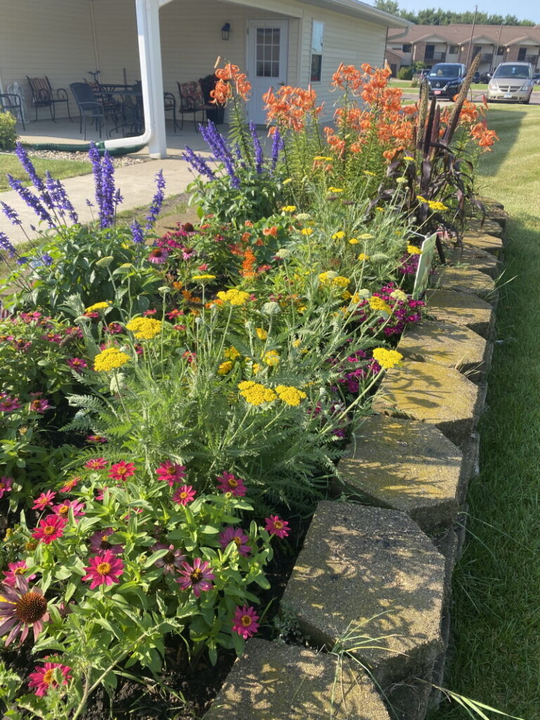 Nobles County Master Gardeners have a busy season ahead – The Globe Nobles County Master Gardeners have a busy season ahead - The Globe