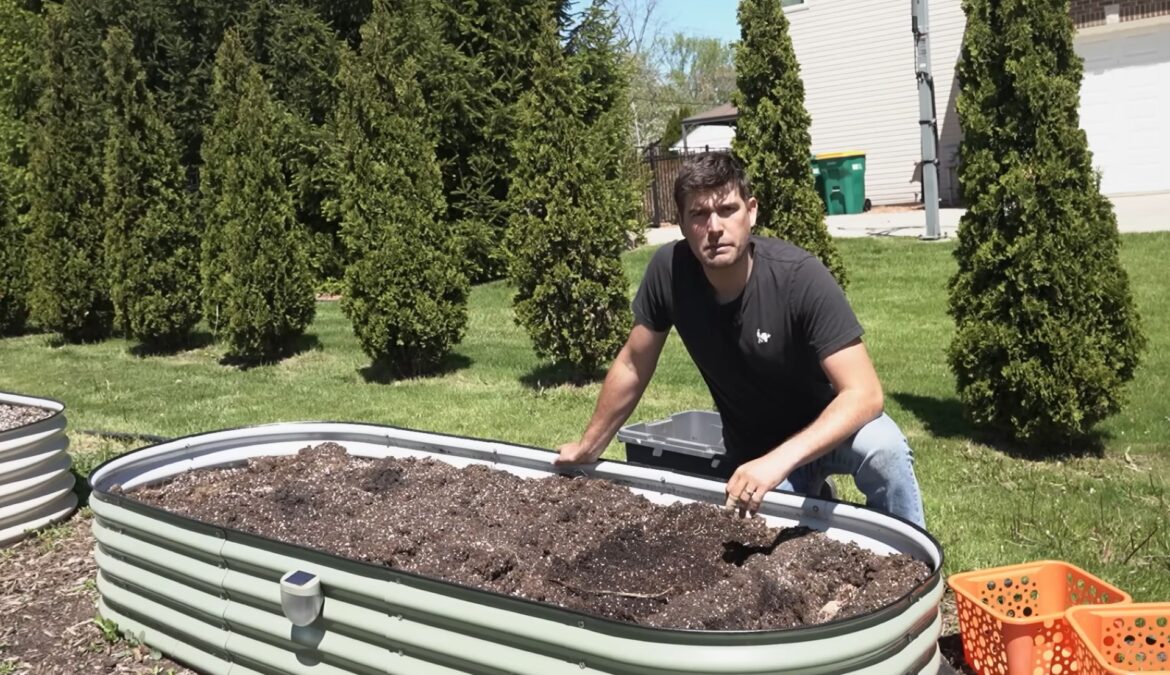 Michigan gardener says potatoes do better 8 inches deep, 10 inches apart, and without hilling A man leans over a soil-filled raised garden bed.