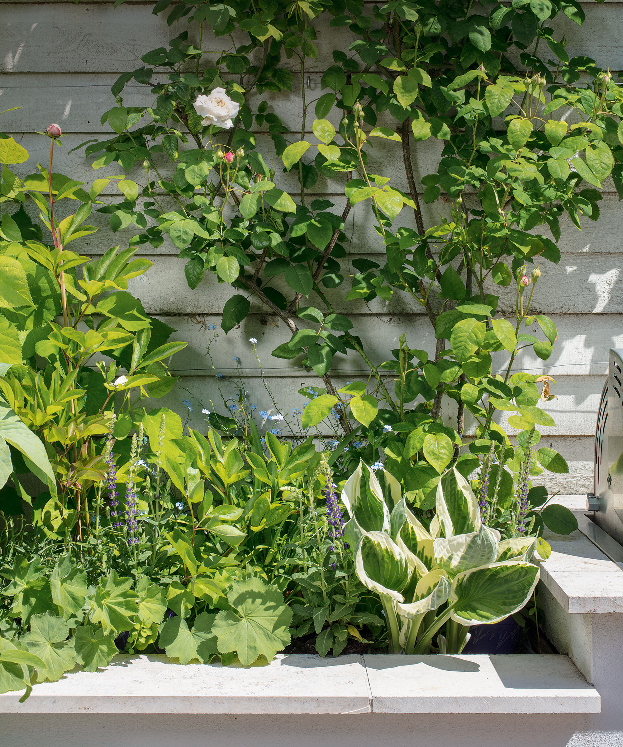 Flower bed ideas for a shade garden