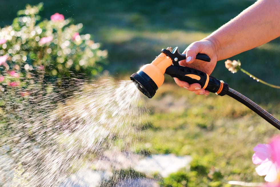 A woman waters flowers in the garden with a hose, saves from drought a gardener takes care of flowers in the park, waters plants with water on a hot summer day
