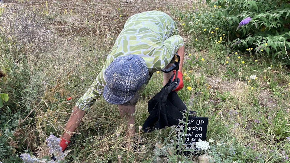 A woman in a blue tweed cap and a green patterned top is bending over to pick up rubbish in tall grass. She is wearing red gloves and is holding a black bag and a litter picker in her left hand.
