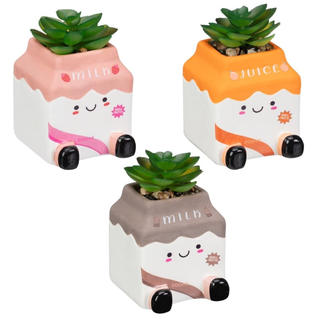 B&M Fun Drink Succulent in Juice, Strawberry Milk and Chocolate Milk designs 