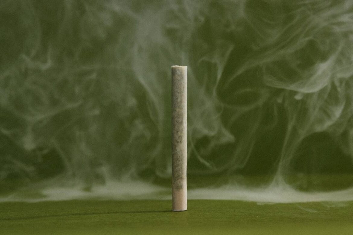 Raw Garden Launches Solventless Live Rosin Joints Raw Garden Launches Solventless Live Rosin Joints