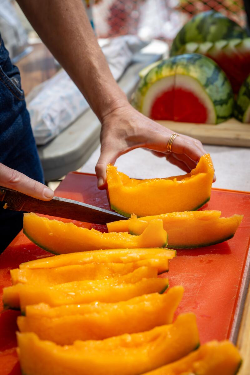 Volunteer Joanna Glovinsky of the Fruitstitute, a fruit tree company, cuts fruit.