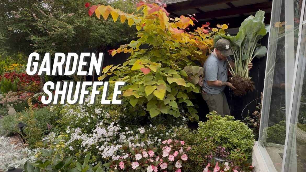 Garden Mistakes Happen… But There’s Always A Solution Garden Mistakes Happen... But There's Always A Solution
