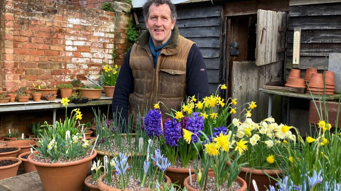 Your garden will be a riot of colour in autumn if you follow Monty Don’s instructions now Liverpool Echo