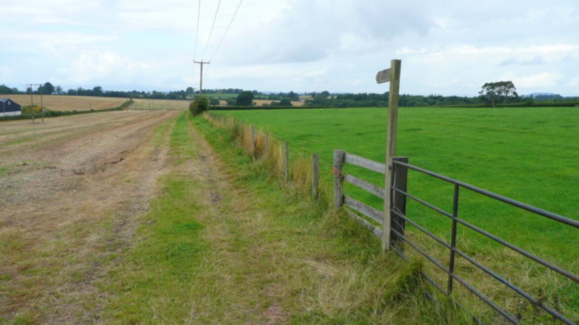 Grandmother Jean Harris won’t sell a strip of her Herefordshire garden, and the dispute could delay a £45m bypass as the council pursues compulsory purchase powers Grandmother Jean Harris won’t sell a strip of her Herefordshire garden, and the dispute could delay a £45m bypass as the council pursues compulsory purchase powers