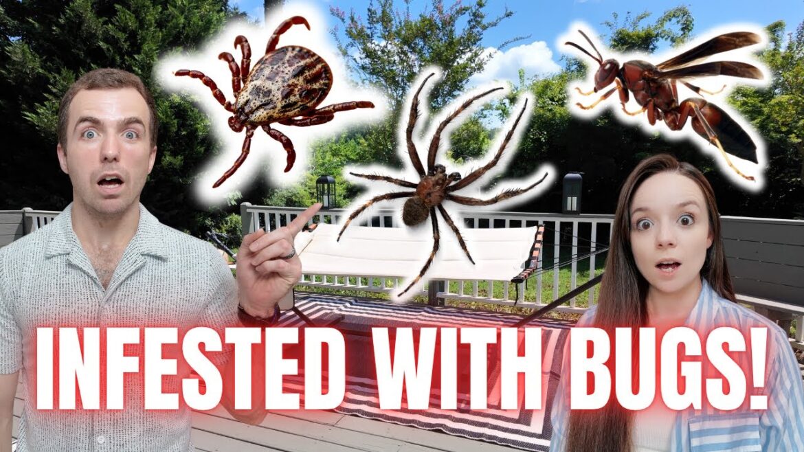 Our Backyard Was INFESTED With Ticks, Wasps & Spiders! | HOT MESS DREAM HOUSE RENOVATION Our Backyard Was INFESTED With Ticks, Wasps & Spiders! | HOT MESS DREAM HOUSE RENOVATION