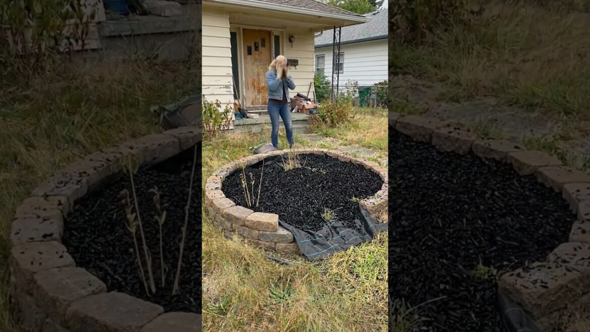 Watch This Front Yard Transform Into a Beautiful Flower Garden 🌸✨ Watch This Front Yard Transform Into a Beautiful Flower Garden 🌸✨