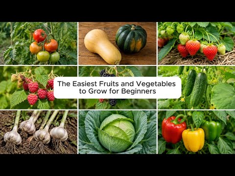 Easy Fruits & Vegetables to Grow for Beginners | Feed & Protect Your Garden with Sevin + Alaska Easy Fruits & Vegetables to Grow for Beginners | Feed & Protect Your Garden with Sevin + Alaska