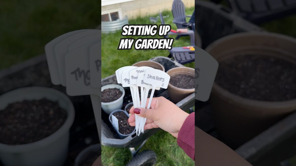 Building a Garden That Works for Beginners | Container Gardening Building a Garden That Works for Beginners | Container Gardening
